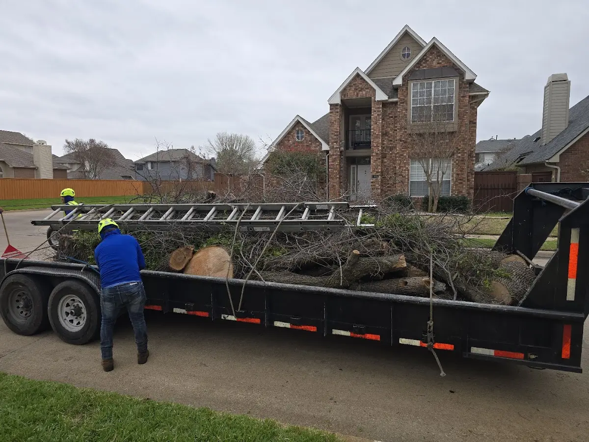 Expert Lot Clearing with proper safety equipment in Harwood